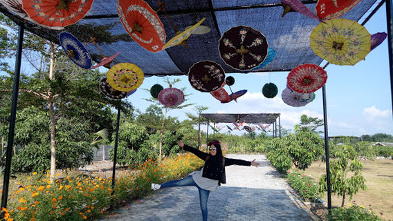 Agrowisata SCW Tenayan Raya