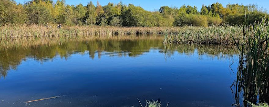 Stillington Pond