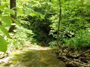 Archers Fork Trailhead