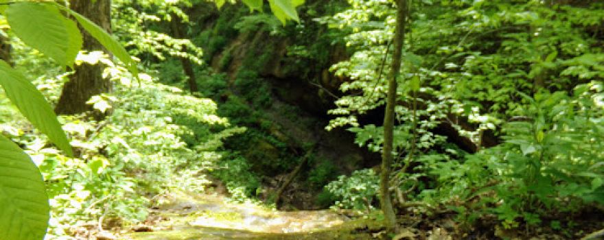 Archers Fork Trailhead