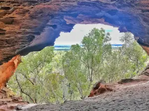 Pilliga Nature Reserve