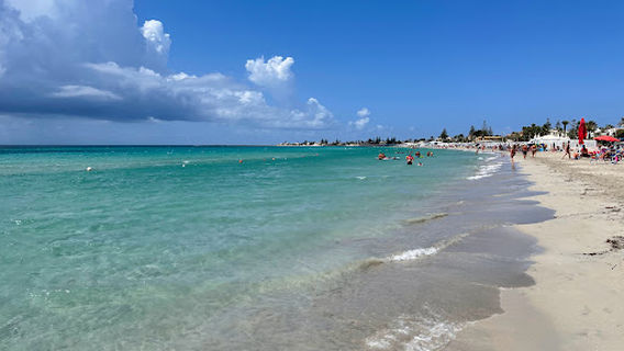 Oasi Lido