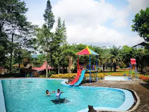 Kebun Teh Tambi Up Tanjungsari Sapuran