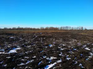 Музей Истории г. Давид-Городка