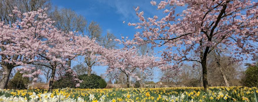 Godinton House & Gardens
