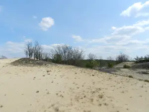 Parco regionale del panorama di Mizhrichynskyi