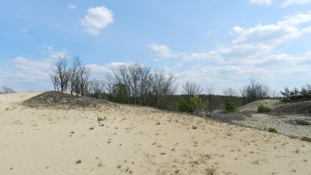 Mizhrichynskyi Regional Landscape Park