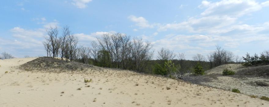 Mizhrichynskyi Regional Landscape Park