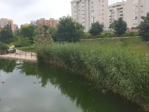 Parque La Marjal