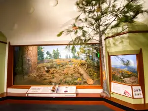 Santa Barbara Museum of Natural History