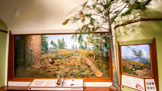 Santa Barbara Museum of Natural History