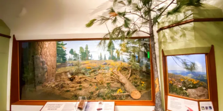 聖塔巴巴拉自然歷史博物館