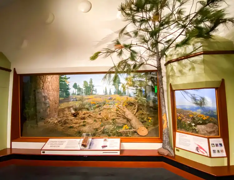 Hotel dekat Santa Barbara Museum Of Natural History