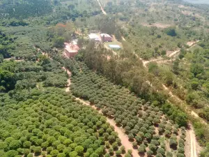 Vinícola Jabuticabal