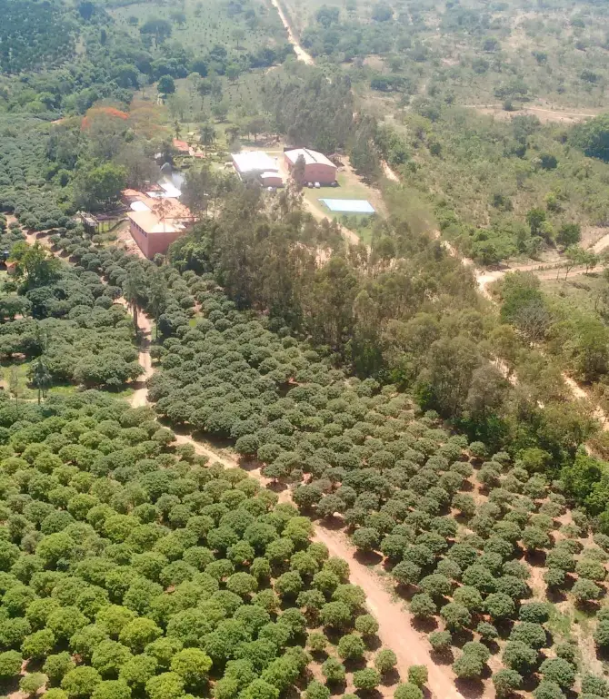 Hidrolândia