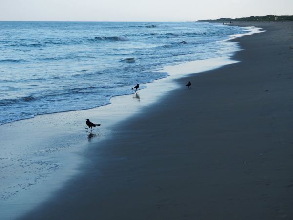 Sandbridge Beach