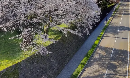 Kanazawa Castle Park