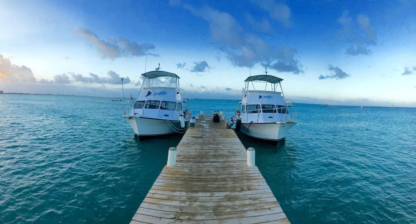 2_Living The Dream Divers