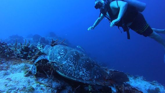 Cozumel