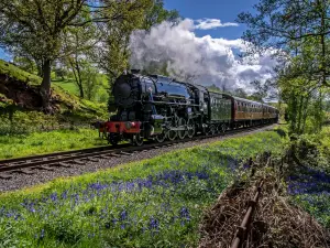 Churnet Valley Railway (Kingsley and Froghall Station)
