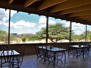 Cheetah Conservation Fund