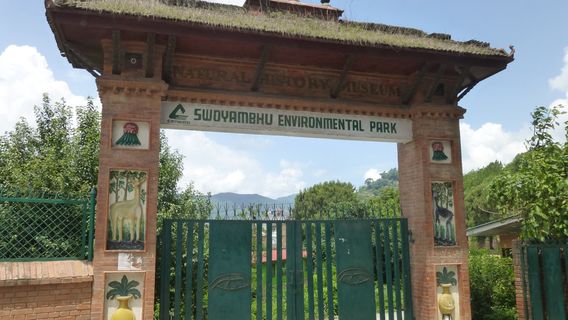 Natural History Museum