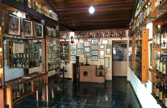 帕緹多阿爾弗利斯