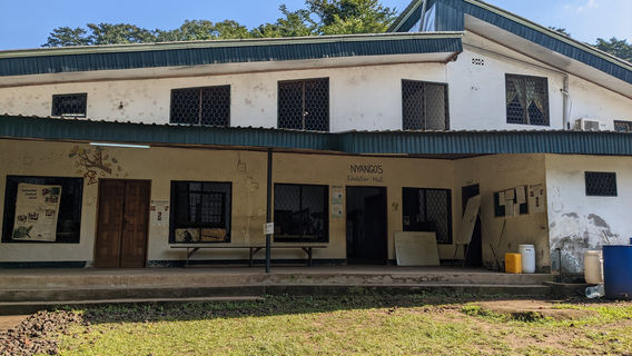 Limbe Wildlife Centre