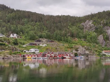 Vikedal