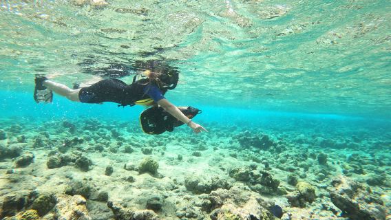 Aruba Bob Snorkel & Scuba