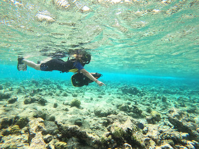 Aruba Bob Snorkel & Scuba