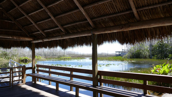 Grassy Waters Preserve