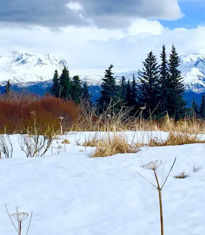 Fritz Creek