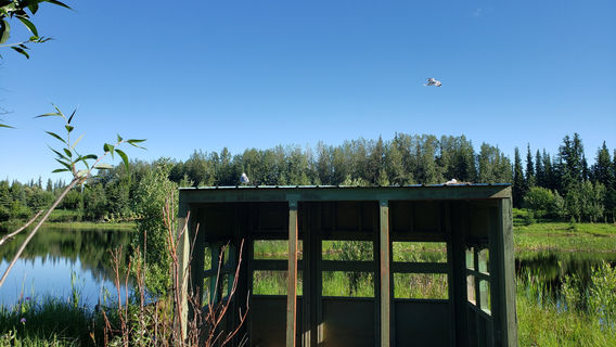 Wedgewood Wildlife Sanctuary