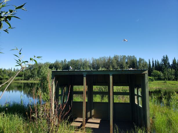 Wedgewood Wildlife Sanctuary