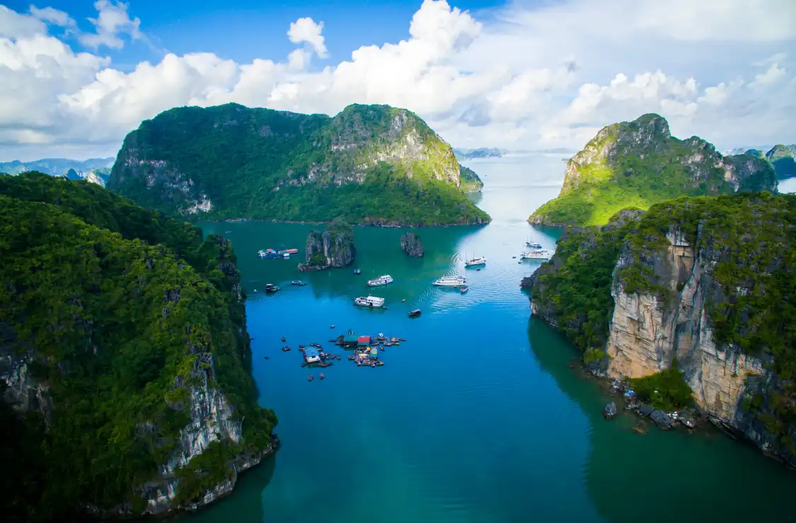 Hotels near Bai Tu Long Bay