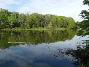 Morrison Dam Conservation Area
