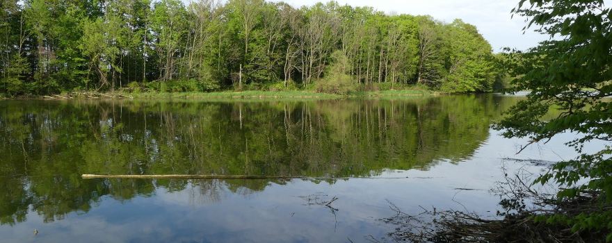 Morrison Dam Conservation Area