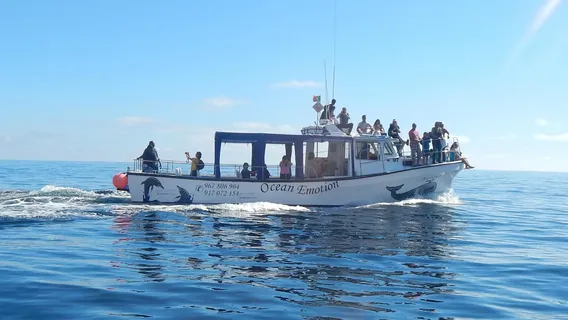 OceanEmotion Azores Whale Watching