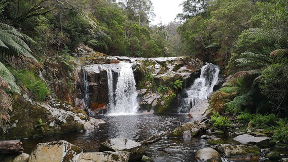 Halls Falls