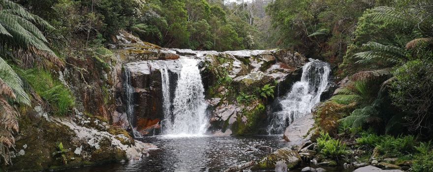 Halls Falls