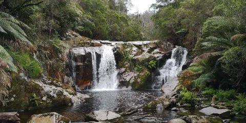 Halls Falls