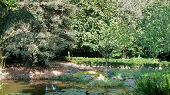 Quinta De Villar d'Allen