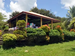 Lake Pinamaloy