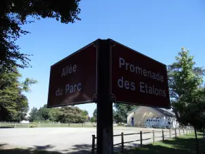 LE HARAS DE TARBES