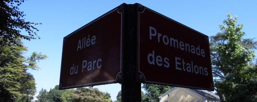 LE HARAS DE TARBES