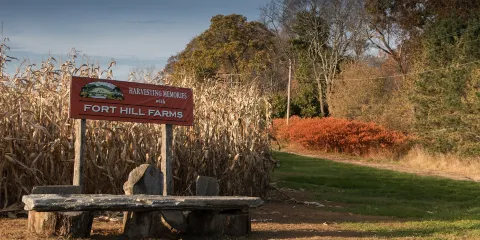 Fort Hill Farms