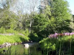 Smileys Provincial Park and Campground