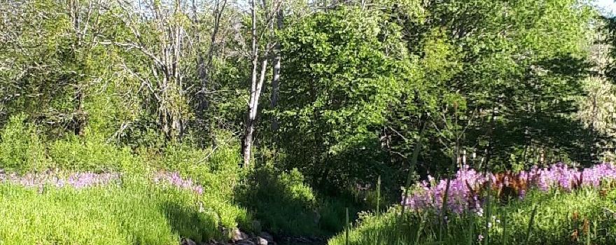 Smileys Provincial Park and Campground