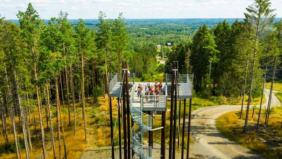 Kungsbygget Adventure Park